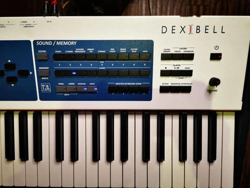 Dexibell S9對(duì)比雅馬哈機(jī)械鋼琴與工作站 選琴如品酒，硬件零售新視角